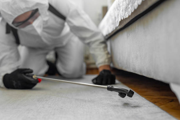 Professional Cockroach Control technician working in Wyanet, IL