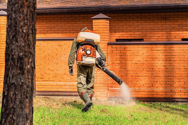 Trusted Emergency Pest Control service in Wyanet, IL - Nex Pest Control